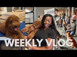 I Finally Put Him in Dog Training Class + Barre Class + FLAT TIREEEE | COURTREEZY 2.0