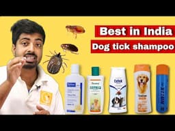 Best tick shampoo for dogs in India.