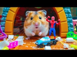 Live Stream 🛑🐹 Hamster Escapes the Mega Maze in Real Life | Hamster Life