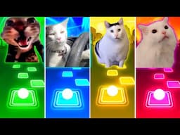 Doorbell Cat vs Driving Cat vs Huh Cat vs Coffin Dance Cat - Tiles Hop EDM Rush