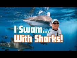 You Want To See Crazy, Jaw-Dropping Adventure: Cageless Shark Swim!