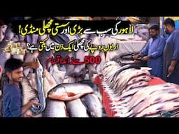 Largest Fish Market In Lahore Pakistan | Sasti Machli Mandi | CHAK DE PHATE