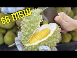 $6 Musang King Durian in Malaysia - Surprisingly good