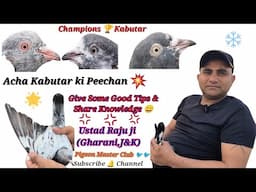 Kamagar, Teedy, Sialkoti breeds ka Shonk || Ustad Raju || Gharani,J&K || Continue -P2