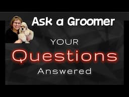 Ask a Groomer about Dog Grooming Tips, Tricks and Techniques! Ask a Certified Master Groomer today!