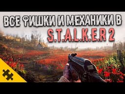 STALKER 2- ВСЕ ФИШКИ: ГОЛОД, УРАГАНЫ, ВЫБРОСЫ могут УБИТЬ, ГЛЮКИ, ЗОМБИ-СТАЛКЕРЫ, АНОМАЛИИ, СТАЛКЕР