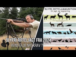 Blyfri riffelammunition. Hvad siger de nye 2024 regler?