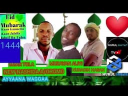 NEW NASHIDA A/OROMO @AYYAANA WAGGAA  @NuRuL HaYaT