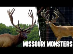 Missouri Deer Breeder Showcase | Deer and Wildlife Stories 2023