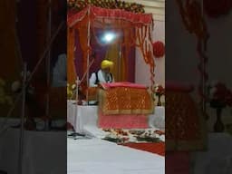 Guru ji ka darbar / mattha tek lo #shorts #reels #gurbani #guruji