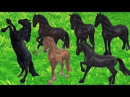 NEW New Friesian Horses in Star Stable