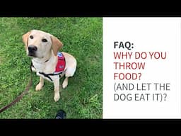 Why we toss treats during training (and let our dogs eat them)