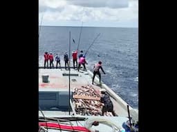 11 tons of tuna 🎣 #shorts #trending #youtubeshorts #shortvideo #shortsfeed #shortsviral #short