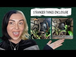 DIY REPTILE ENCLOSURE BACKGROUND (STRANGER THINGS THEMED)