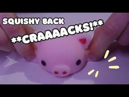 ASMR Squishy Tingle Appointment! (back cracks and massage)