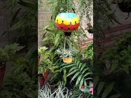 Balão de cabaça (porongo) #decoração #gardendecor #ideias #diy #façavocêmesmo #maniasderosemary