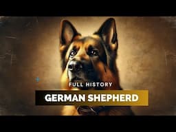 German Shepherd - Full History