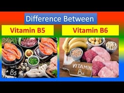 Differences Between Medical And Health Benefits Of Vitamin B5 and  Vitamin B6