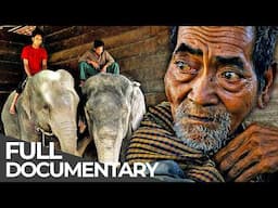 The Last Elephant Men of Cambodia | Free Documentary