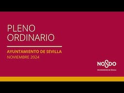 Pleno Ordinario. 21 de noviembre de 2024