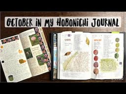 October in My Hobonichi Journal