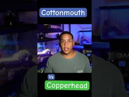 Cottonmouth Vs Copperhead Pt1