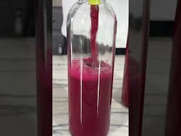 Antioxidant Rich Purple Juice