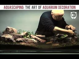 Aquascape Timelapse The Green Machine Tank Selection