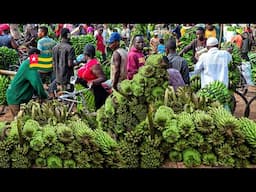 Cost of living in the biggest wholesale food market in Togo west Africa. Shop and cook with me.