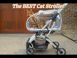 Taking My Cats for a Stroll in Their New MewCats Stroller!