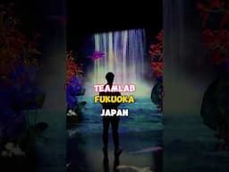 Underrated Japan teamLab in Fukuoka! #teamlab #fukuoka #japan