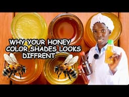 Why Some Honey Looks Different In Color Even When Bees Are The Same| Watch!