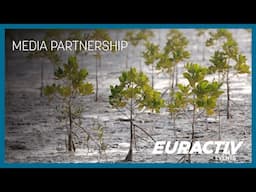 Media Partnership - Green Claims & Carbon Markets