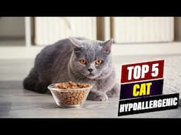 Best Hypoallergenic Cat Foods: A Comprehensive Guide