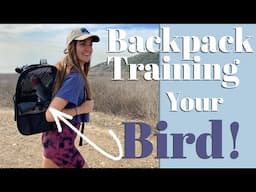 Parrot Backpack Training and Care | Take Your Bird Anywhere