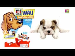 Kinder Surprise Eggs with DOGS Kinder SUPER Surprise Eggs Surprise