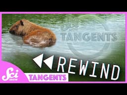 Rewind Ep. 18 - Giant Rodents | SciShow Tangents Podcast