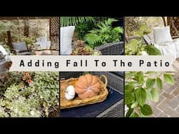 Adding Fall Decor To The Back Patio~Decorating & Adding Decor To The Patio