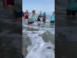 Boeier, the Kemp's ridley sea turtle is released back into the Gulf of Mexico