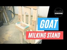 Making a goat milking stand #DIY