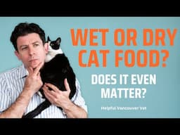 Should I feed wet or dry food to a cat?