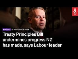 Treaty Principles Bill undermines progress NZ has made, says Labour leader | 18 November 2024 | RNZ