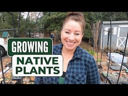 How I Sow Native Plant Seeds and Which Native Plants am I Growing👩🏻‍🌾🌿👍🏻