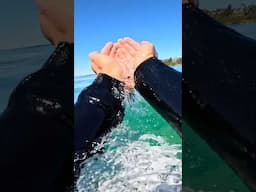 Surfing in 100% PURE Water! #surfing #satisfying