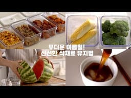 SUB) 여름철 식재료 보관 신선하게 하고 싶다면? 바퀜 최저가 공동구매/ 신상 사이즈 출시