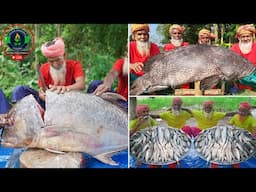 Giant Fish Cutting & Cooking by 70+ Years Old Grandpa | LIVE