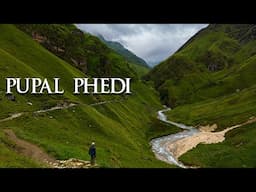 PUPAL PHEDI || YARSA LAND | OLDEST TREKING  ROUTE IN WEST DHAULAGIRI CIRCUIT TREK