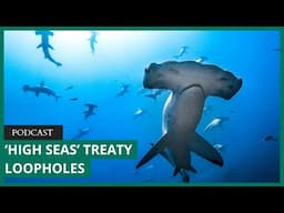 The ‘High seas treaty’ is misnamed