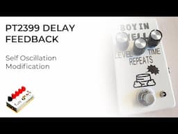 PT2399 Delay Pedals - How to Add Self Oscillation