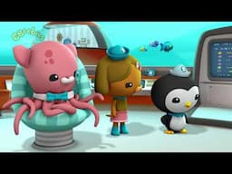 Octonauts, Series 2, Damselfish